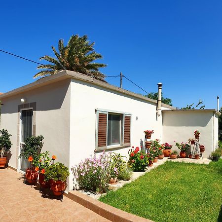 Repanidi Apartment D / Ρεπανίδι Διαμέρισμα Δ Repanidhion Exteriör bild