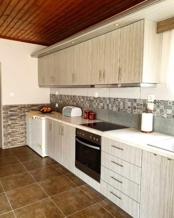 Repanidi Apartment D / Ρεπανίδι Διαμέρισμα Δ Repanidhion Exteriör bild