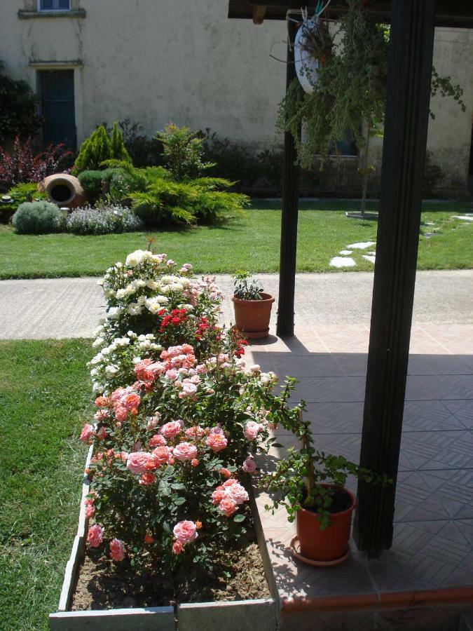 Repanidi Apartment D / Ρεπανίδι Διαμέρισμα Δ Repanidhion Exteriör bild