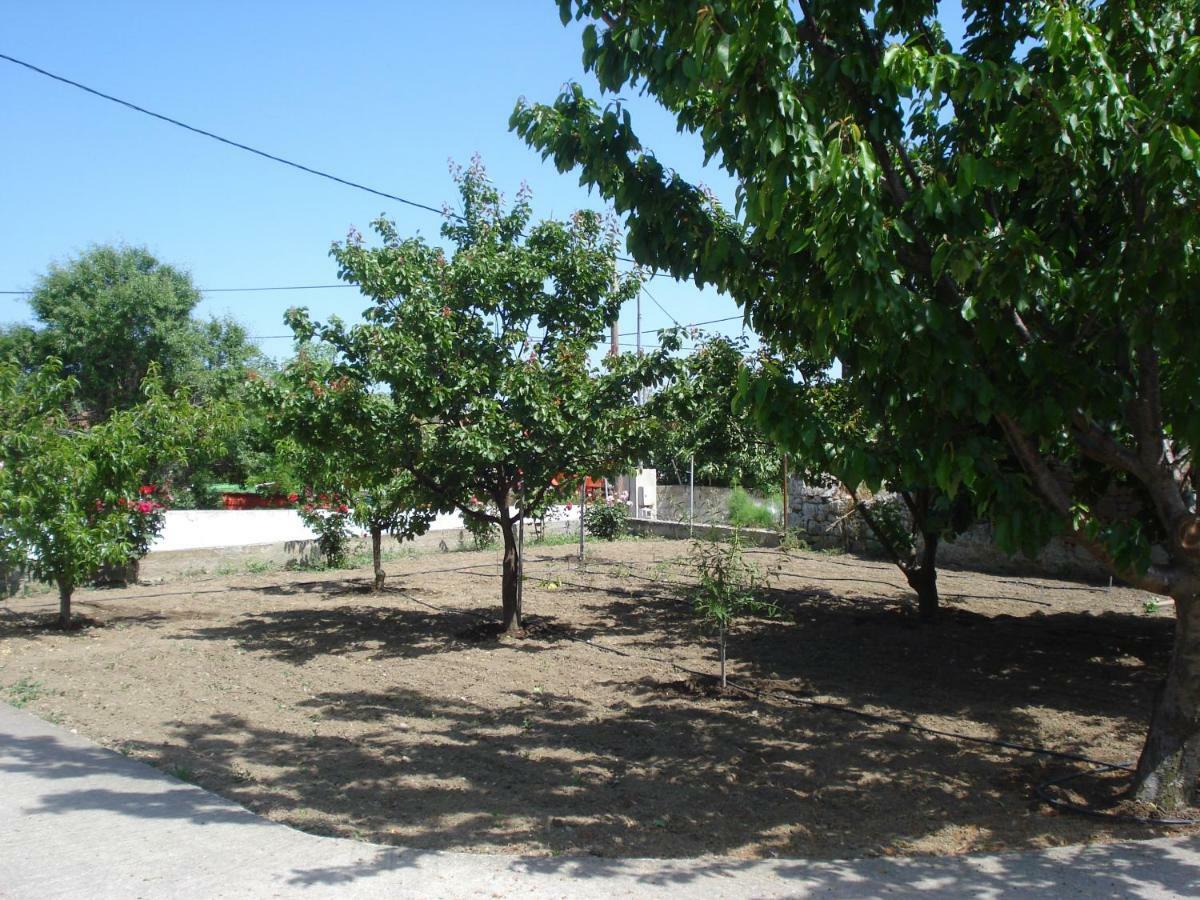 Repanidi Apartment D / Ρεπανίδι Διαμέρισμα Δ Repanidhion Exteriör bild